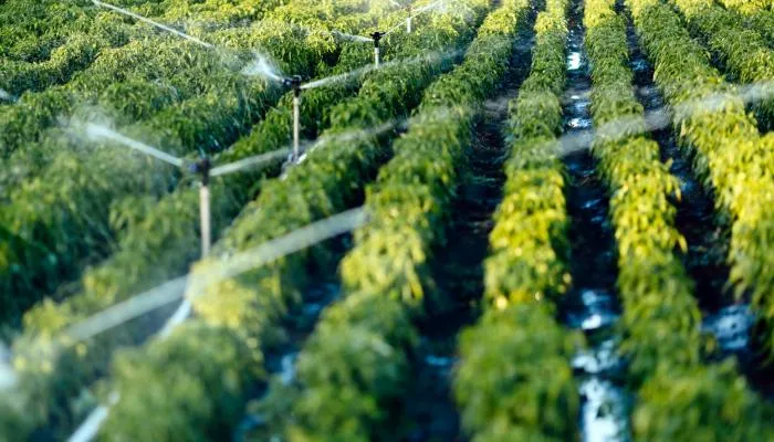 [28] نظام زرع لإدارة المنشئات الزراعية والحيوانية