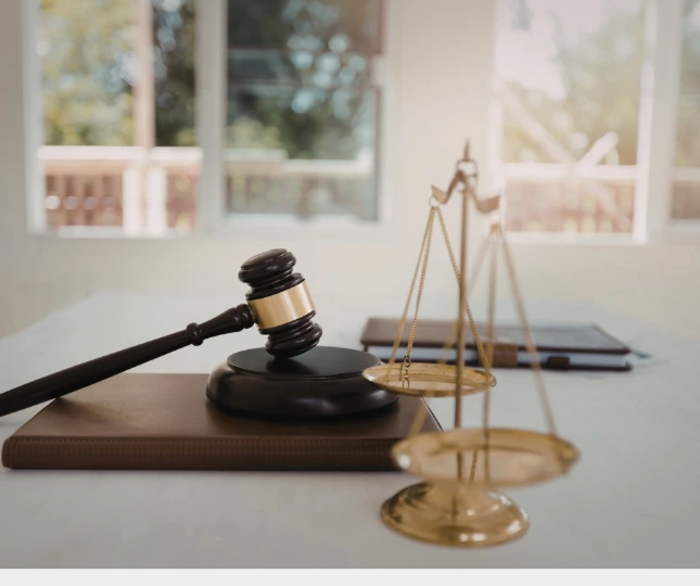 [12] Lawyers Management System