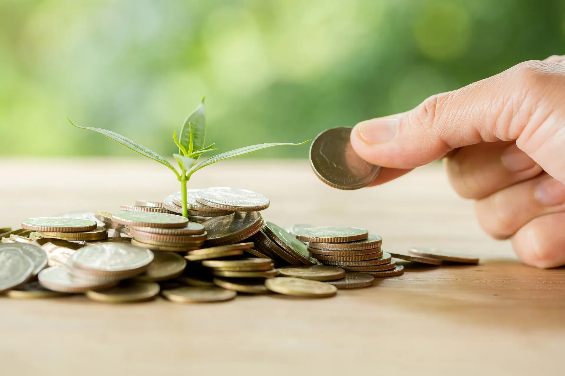 [26] نظام إدارة الأوقاف