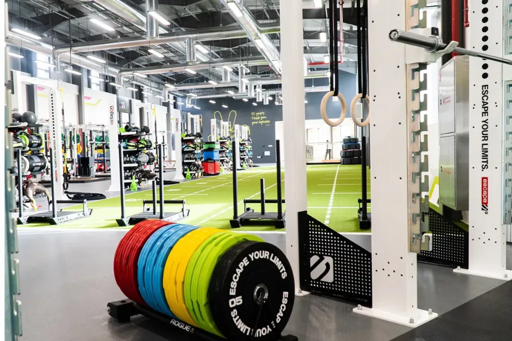 [19] GYM Management System