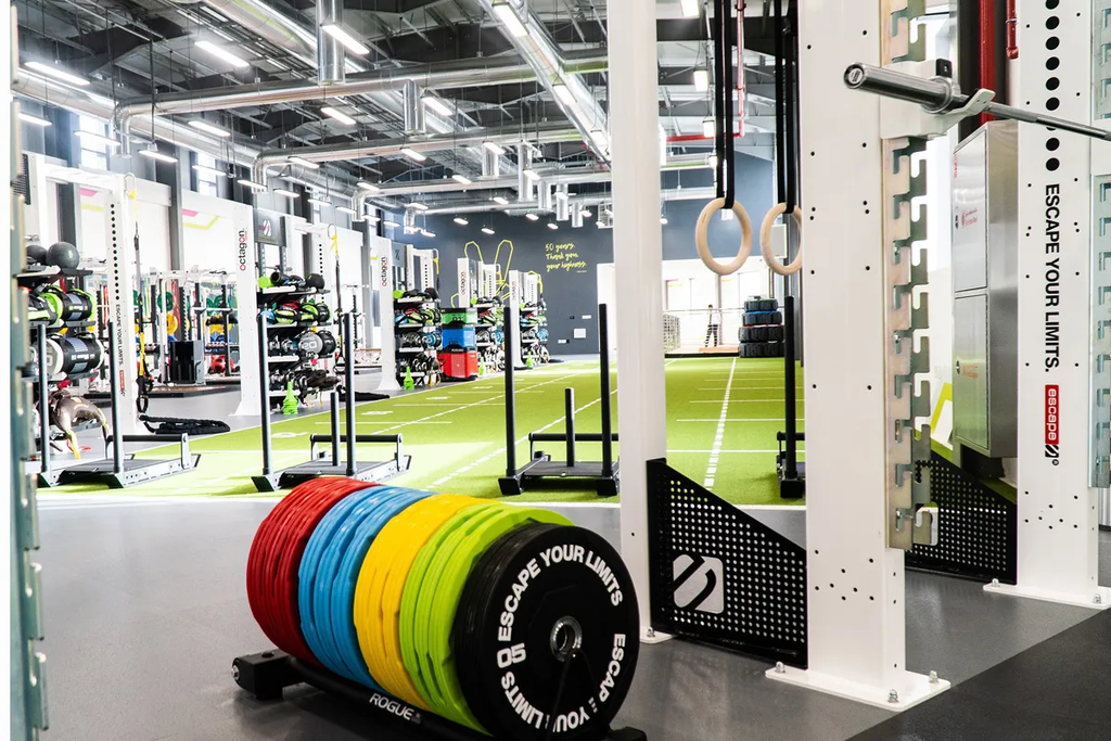 GYM Management System